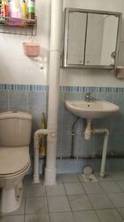 Blk 807 King George's Avenue (Kallang/Whampoa), HDB 5 Rooms #462940241